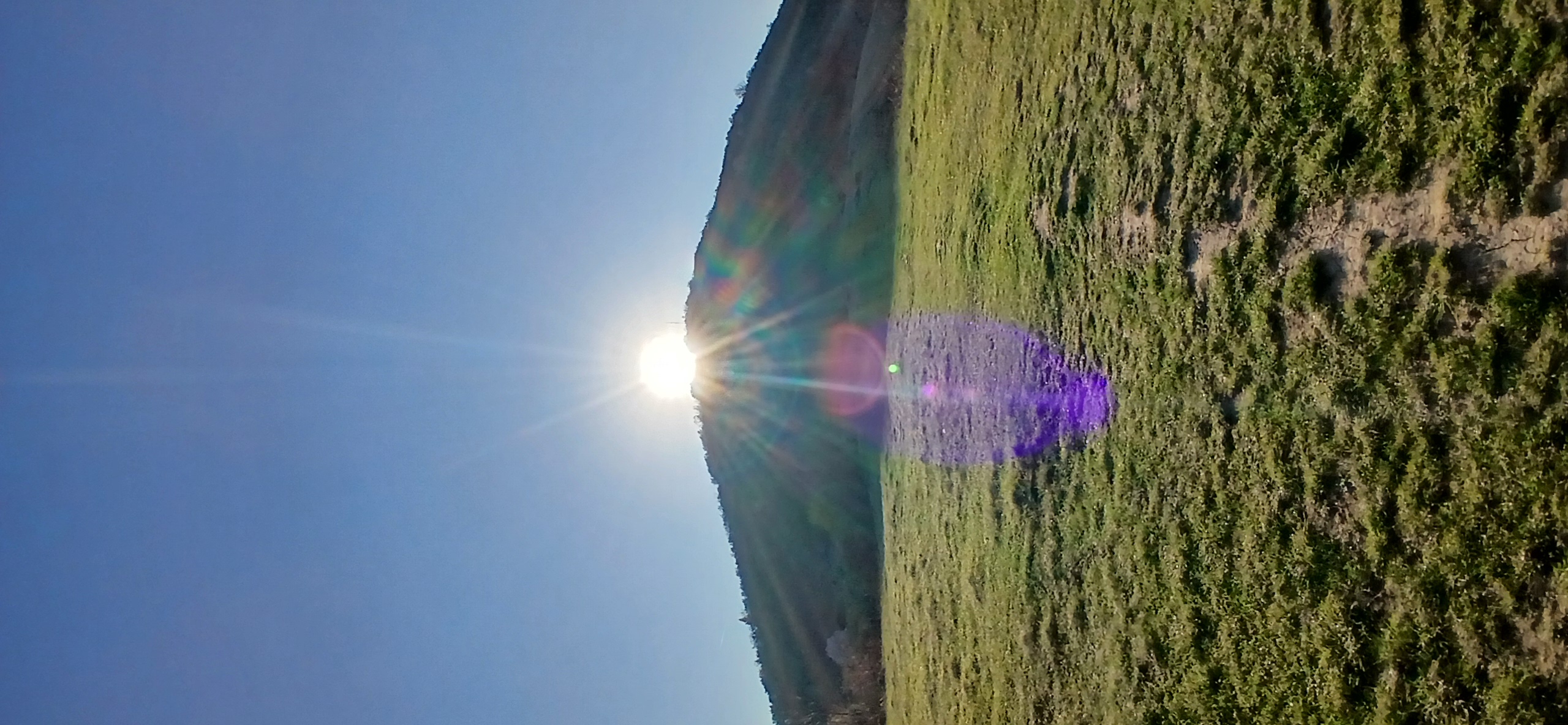 20260419_071347